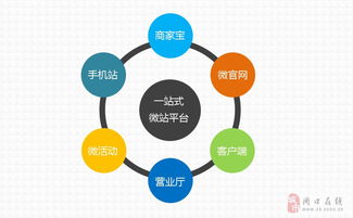 周口指尖傳媒 專業(yè)網(wǎng)站建設(shè)與維護的領(lǐng)航者