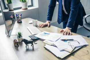 網(wǎng)站建設(shè)與維護(hù) 構(gòu)筑數(shù)字門面的持續(xù)生命力